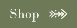 shop-now